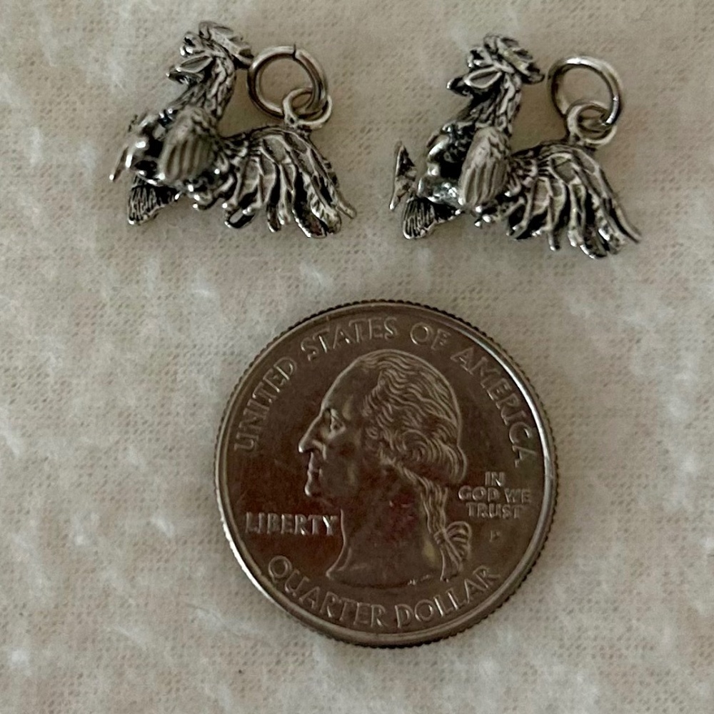 Fighting NCAA Rooster 3D Pendants Set of 2, silver